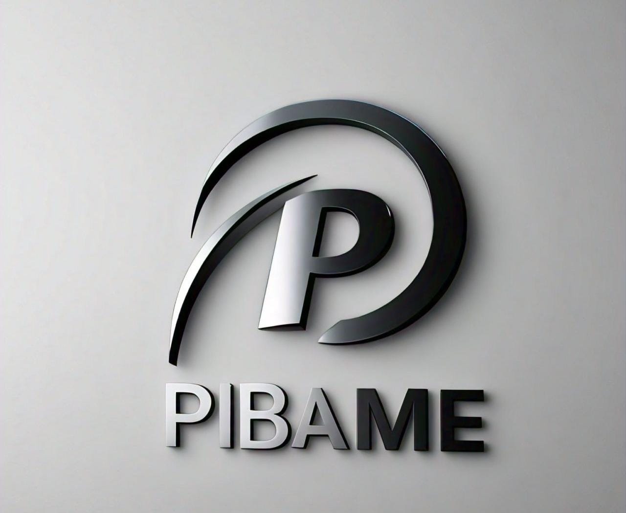 PIBAME DYNAMICS Logo